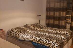 Gepflegte 2-Zimmer-Wohnung im 2. OG mit Balkon in Magdeburg-Neu Olvenstedt – Hans-Grade-Straße 85-96, 39130 Neu Olvenstedt, Magdeburg – Vorschaubild 2
