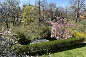 Zuhause mit viel Platz in Dresden-Oberloschwitz – Ludwig-Richter-Straße 8b, 1326 Loschwitz/Wachwitz, Dresden – Vorschaubild 8