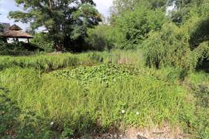 2 Häuser - ein Preis  VHB- mit großem Garten in der Mecklenburgischen Seenplatte – Eichenweg 10, 19395 Ganzlin – Vorschaubild 9