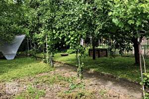 Umfangreich modernisiertes Einfamilienhaus in zentraler Lage mit Garage, Scheune und Garten – Die vollständige Adresse der Immobilie erhältst du vom Anbieter., 63768 Hösbach – Vorschaubild 14