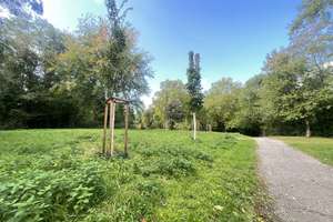 202611.2 Wohnen über den Dächern – helle 2-Zimmer-Wohnung mit Südloggia und Stellplatz – Gustavstraße 80, 46049 Lirich-Süd, Oberhausen – Vorschaubild 14