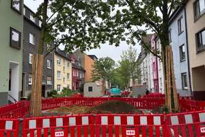 Ihre Chance auf ein gepflegtes MFH auf einem tollen Areal in ordentlicher Lage – Die vollständige Adresse der Immobilie erhältst du vom Anbieter., 45326 Altenessen-Süd, Essen – Vorschaubild 3