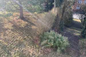 Solides Einfamilienhaus mit großzügigem Gartengrundstück sucht neuen Eigentümer – Altenkirchen (Westerwald) (Kreis) – Vorschaubild 26