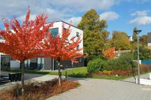 Property thumbnail 6