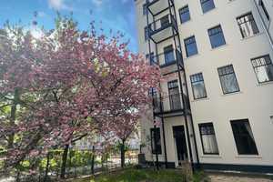 Modernes Wohnen mit eigenem Garten in begehrter Kiezlage – Berlin – Vorschaubild 2