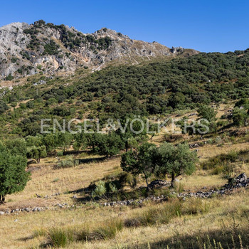 25 Hektar großer Bauernhof in Andalusien, im Herzen des Naturparks Grazalema, Cádiz