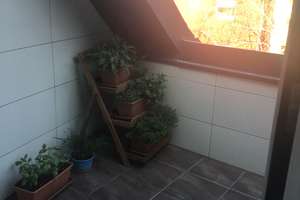 Alltagstauglich wohnen mit 2 Zimmern in Nürnberg Wöhrd – Wöhrder Hauptstraße 24, 90489 Wöhrd, Nürnberg – Vorschaubild 3