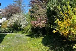 Dreifamilienhaus mit großem Gartengrundstück in begehrter Wohnlage  von Wiesloch zu verkaufen! – Lieselottestraße 9, 69168 Wiesloch – Vorschaubild 15