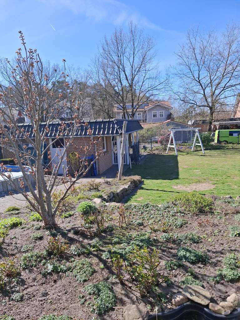 Immobilie in Südergellersen - Modernes Einfamilienhaus mit Pool und Carport in Südergellersen - Bild 4