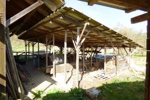 Hofstelle mit mehreren Nebengebäuden auf über 3.000 m² Grund im Deggenhauser Tal – Die vollständige Adresse der Immobilie erhältst du vom Anbieter., 88693 Deggenhausertal – Vorschaubild 30