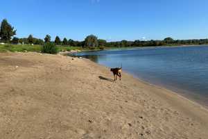 Direkt am See ! Chalet in de Veerstal Lathum Rhederlaag – Wesel (Kreis) – Vorschaubild 14