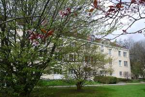 Topp renoviert!  Besondere 2 Zimmer DG-Whg. mit Balkon