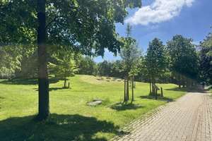 Ideal für Familien: Charmantes EFH in bevorzugter Lage am Belmer Ententeich Park – Die vollständige Adresse der Immobilie erhältst du vom Anbieter., 49191 Belm – Vorschaubild 6