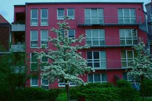 2-ZimmerWhg im Herzen der Nordstadt – Schaufelder Str. 29, 30167 Nordstadt, Hannover – Vorschaubild 6