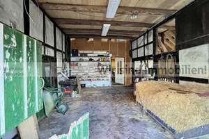 Resthof - Ruhig, naturnah, Tierhaltung möglich – Die vollständige Adresse der Immobilie erhältst du vom Anbieter., 49191 Belm – Vorschaubild 28