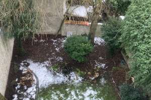 Attraktives MFH mit Potential – Spindelstr. 36a, 49074 Innenstadt, Osnabrück – Vorschaubild 7