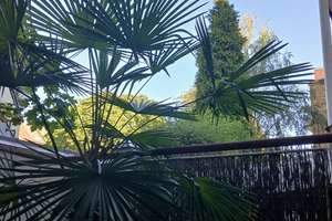 FISCHER Str.,Düsseldorf-Pempelfort, Nähe Hofgarten, Rhein,2 Zi., Bad, Panoramablick!Exkusiver Garten – 40477 Pempelfort, Düsseldorf – Vorschaubild 3