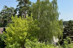 Familienidyll mit großem Garten, Garage und viel Potenzial in sehr begehrter Wohnlage - Bezugsfrei! – Die vollständige Adresse der Immobilie erhältst du vom Anbieter., 90768 Oberfürberg, Eschenau, Fürth – Vorschaubild 45