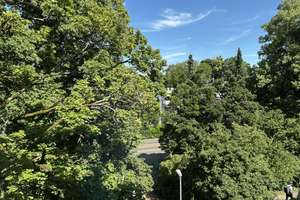 Von privat: Grosszügige helle 2-Zi-Whg. m. gr. Balkon im Dichterviertel m.  Potential für 3 Zimmer – Die vollständige Adresse der Immobilie erhältst du vom Anbieter., 65187 Südost, Wiesbaden – Vorschaubild 6