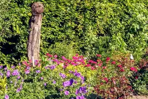 Tolles Zweifamilienhaus in Olfen - jetzt zugreifen - – Coesfeld (Kreis) – Vorschaubild 11
