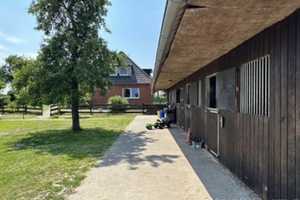 Traumhafte Pferdeimmobilie mit zwei Wohnhäusern in Niedersachsen! – Diepholz (Kreis) – Vorschaubild 5