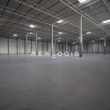 Ca. 15.000 qm Lager- / Logistikfläche | mehrere Rampen + ebenerdig | ca. 10,50 m UKB