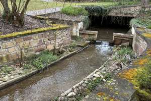 Außergewöhnliches Wohnhaus in ehemaliger Mühle mit Pool, großem Garten und Bachlauf – provisionsfrei – Die vollständige Adresse der Immobilie erhältst du vom Anbieter., 67229 Großkarlbach – Vorschaubild 6