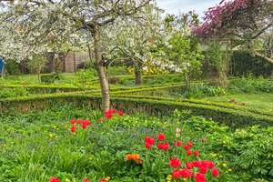 Property thumbnail 9