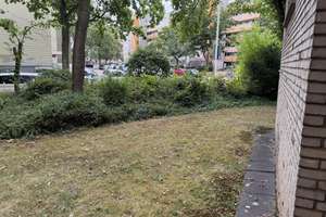 Perfekt für Rollstuhlfahrer Helle barrierefreie 2-Zi. Whg. in Bonn-Tannenbusch – Memelweg 1, 53119 Tannenbusch, Bonn – Vorschaubild 8
