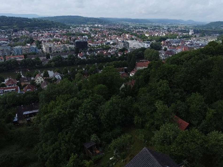 Ausblick