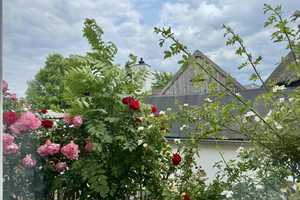 Altes Haus – Neue Ideen: Ihr Projekt im Herzen von Nordenham – Wesermarsch (Kreis) – Vorschaubild 6