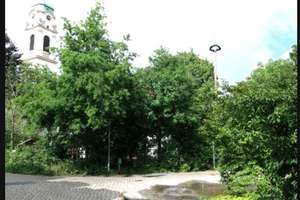 Lichtdurchflutete 2-Zimmer Wohnung im 1. OG mit Balkon in München Haidhausen