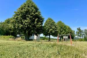 Idyllisches 1-2 Fam.-Haus + Einliegerwohnung – In nur 20 Min. in Paderborn! – Die vollständige Adresse der Immobilie erhältst du vom Anbieter., 33014 Bad Driburg – Vorschaubild 99