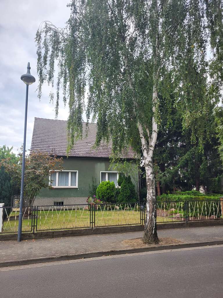 Immobilie in Calau - Geräumiges Einfamilienhaus mit Garage in Calau - Bild 0