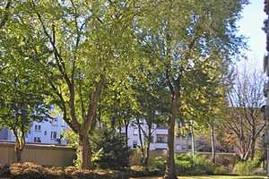 Schöne 2-Zimmer-Wohnung am Rande des Parkfriedhofs in Hutttrop! – Hilgenbornstr. 15, 45138 Essen – Vorschaubild 8