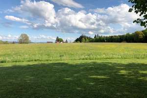 Schöne, geräumige drei Zimmer Wohnung zwischen Bad Waldsee und Bad Wurzach im Grünen – Girayen 1, 88410 Bad Wurzach – Vorschaubild 2