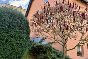 Einfamilienhaus in Burkhardtsdorf bei Chemnitz: 100 m², Traumlage, Terrasse, Grün, Wärmepumpe &Kamin – Die vollständige Adresse der Immobilie erhältst du vom Anbieter., 9235 Burkhardtsdorf – Vorschaubild 22