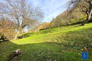 Naturnah und stadtnah zugleich – gepflegtes Einfamilienhaus mit Doppelgarage – Die vollständige Adresse der Immobilie erhältst du vom Anbieter., 72574 Bad Urach – Vorschaubild 11