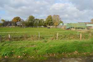 Preisänderung Neues Dach ! Bauernhof mit großen gepflegten Stallungen auf 1,1ha Land. – Haselund, Nordfriesland (Kreis), 25855 Nordfriesland (Kreis) – Vorschaubild 4