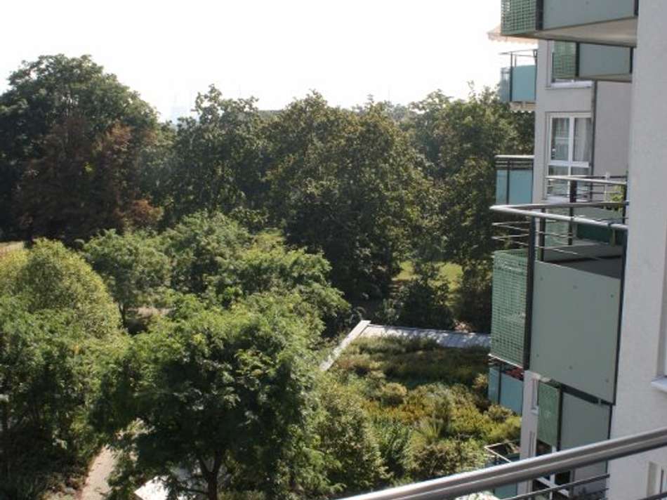 Blick in den Park vom vorderen