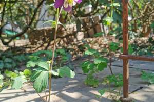 Property thumbnail 72