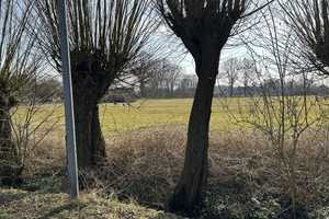  Idyllisch gelegenes Haus mit Pferdekoppel in der Nähe von Hamburg – Alte Landstraße 34, 25474 Pinneberg (Kreis) – Vorschaubild 7