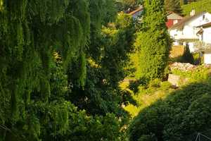 Wohnen auf Zeit inmitten von Weinbergen – Röderswaldweg 17a, 76534 Baden-Baden – Vorschaubild 21