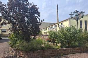Repräsentative Altbaueleganz in Klingenberg.
5 Zimmer Mietwohnung! – Die vollständige Adresse der Immobilie erhältst du vom Anbieter., 63911 Klingenberg am Main – Vorschaubild 29