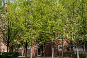 Wohnung mit Balkon und grünem Innenhof – Einbauküche möglich – Further Straße 28, 9113 Schloßchemnitz, Chemnitz – Vorschaubild 2
