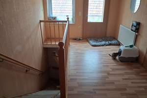 Viel Platz für den Alltag in diesem gepflegten Einfamilienhaus in Mühlberg/Elbe – 4895 Mühlberg/Elbe – Vorschaubild 7