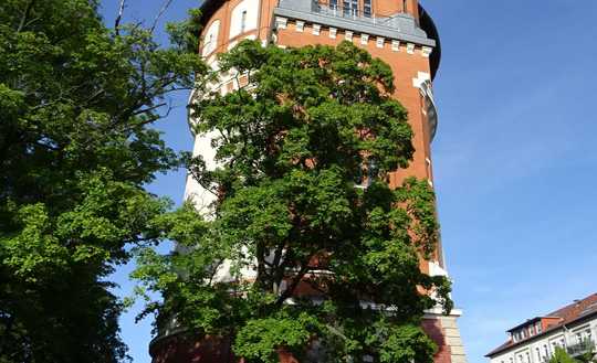 5 Zimmer-Wohnung Altbau 2 Balkone EBK Östliches Ringgebiet Giersberg ruhige TOP-Lage