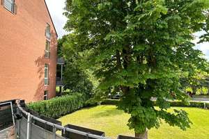 176qm in direkter Rheinlage in Golzheim, Provisionfrei vom Eigentümer.. – Kempener Straße 1, 40474 Golzheim, Düsseldorf – Vorschaubild 14