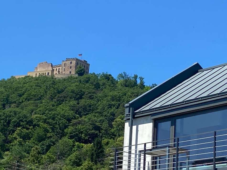 PHOTO202106141558252