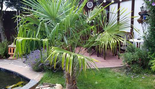 Bild von Rodgau Jügesheim:Freistehendes Zweifamilienhaus für  Großfamilien.